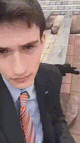 까마귀의 위엄.jpg | 인스티즈