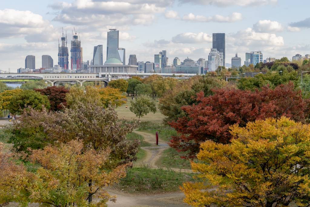2018년 찍었던 사진 중 맘에 드는 것들 | 인스티즈