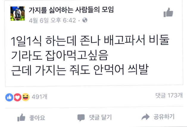 가싫모(가지를 싫어하는 모임)랑 비싫모(비둘기를 싫어하는 모임)의 싸움 | 인스티즈