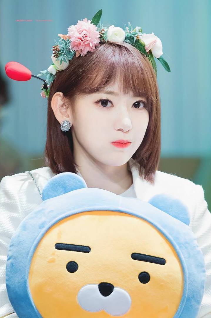 2019년 첫 미야와키 사쿠라 | 인스티즈