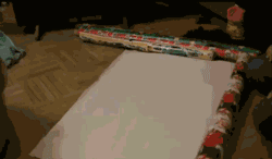 고양이 포장하는 법.gif | 인스티즈