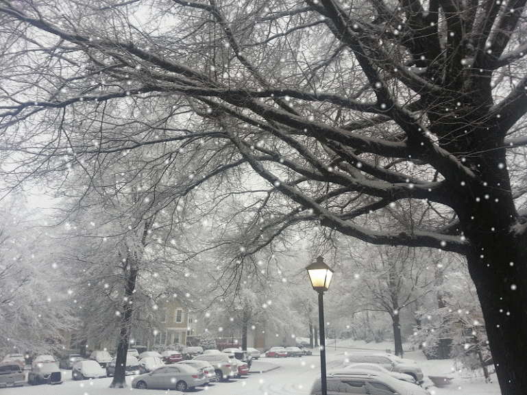 이쯤에서 물어보는 - 벚꽃 vs 단풍 vs 함박눈 이 세가지 중에서 하늘에서 마구마구 흩날린다고 상상했을때 가장 설레고 벅차오르는 것은? | 인스티즈