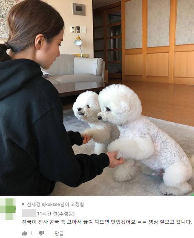 신세경이 말 한마디 안 하고 악플러에 대처하는 방법 | 인스티즈