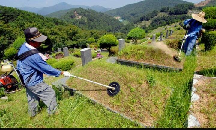 명절에 남자들에게 고마운것 jpg | 인스티즈