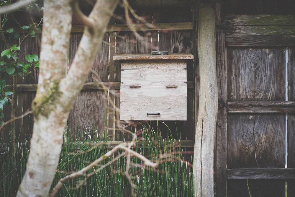 스냅사진 위주의 유치진지한 여행기 - 오사카&교토 (3) | 인스티즈