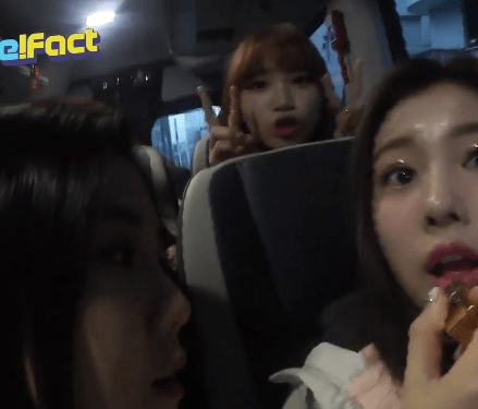 이 세상의 귀여움이 아닌 쌈무 | 인스티즈