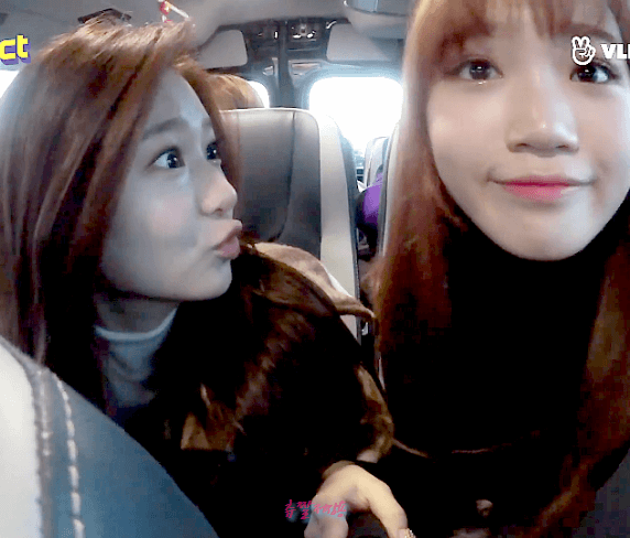 이 세상의 귀여움이 아닌 쌈무 | 인스티즈