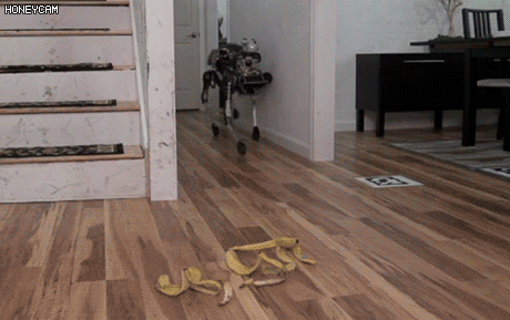 바나나 껍질은 로봇도 못피함.gif | 인스티즈