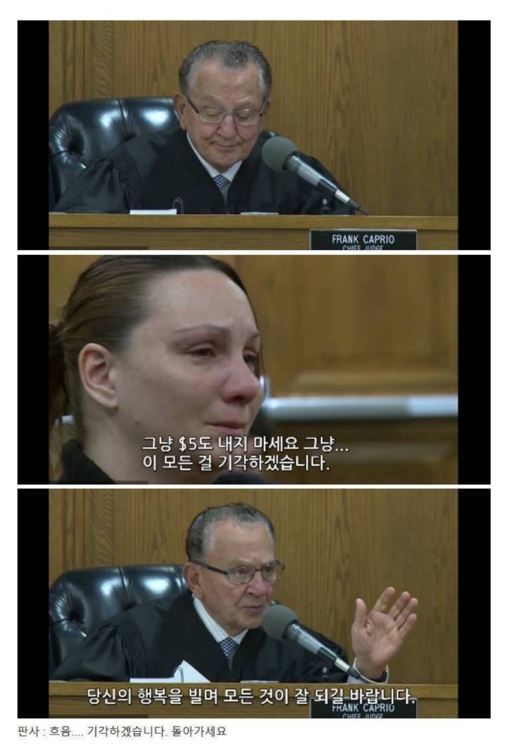 판사가 법보다 상식으로 판결을 내릴때 벌어지는 일.jpg | 인스티즈