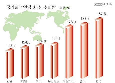 한국인이 위암에 잘 걸리는 이유 | 인스티즈