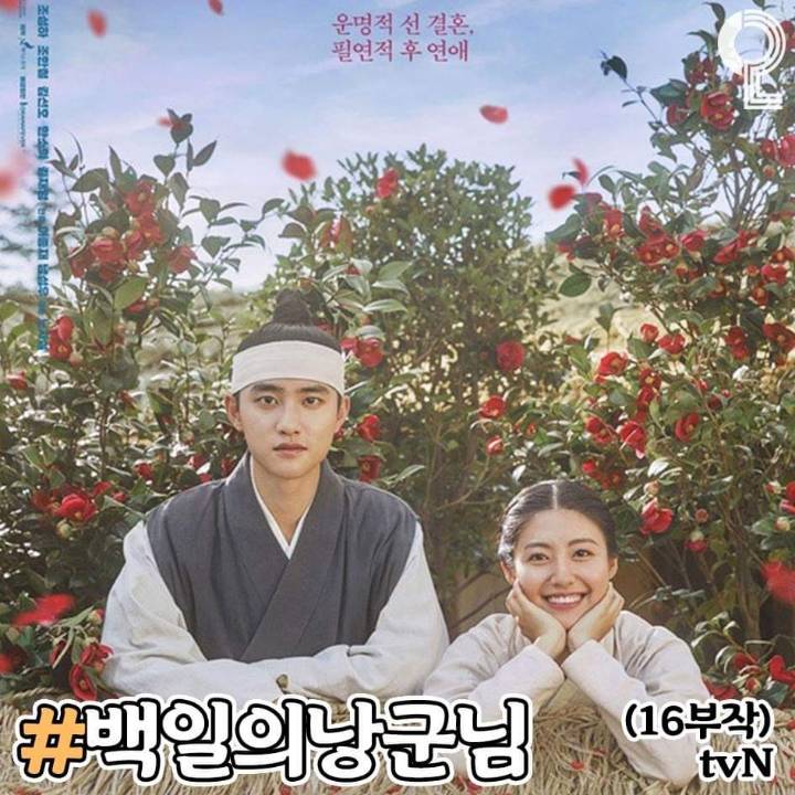 정주행 한국 드라마 추천 | 인스티즈