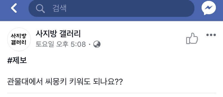 군대에서 씨몽키 키워도 되나요? | 인스티즈