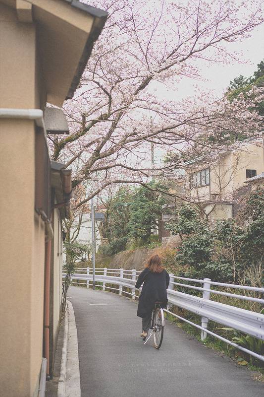 스냅사진 위주의 유치진지한 여행기 - 오사카&교토 (3) | 인스티즈