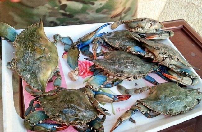 IS 대원들이 즐겨먹는 음식 클라스 | 인스티즈