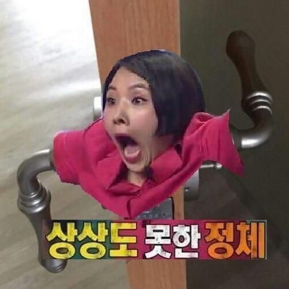 상상도 못한 정체.jpg - 인스티즈(instiz) 이슈 카테고리