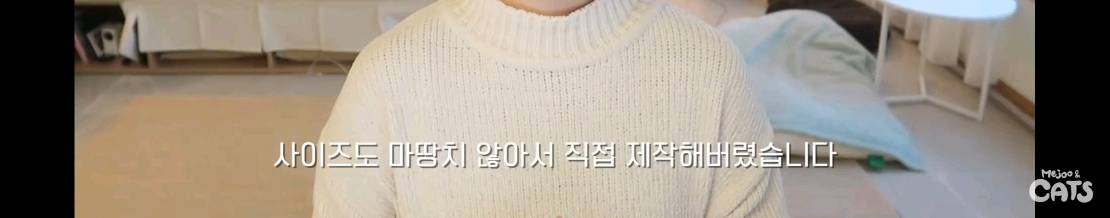 고양이와 함께 쓰는 가구 프로젝트에 들어간 일룸 | 인스티즈