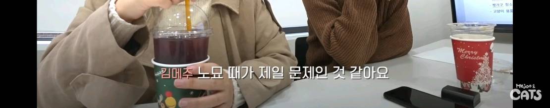 고양이와 함께 쓰는 가구 프로젝트에 들어간 일룸 | 인스티즈