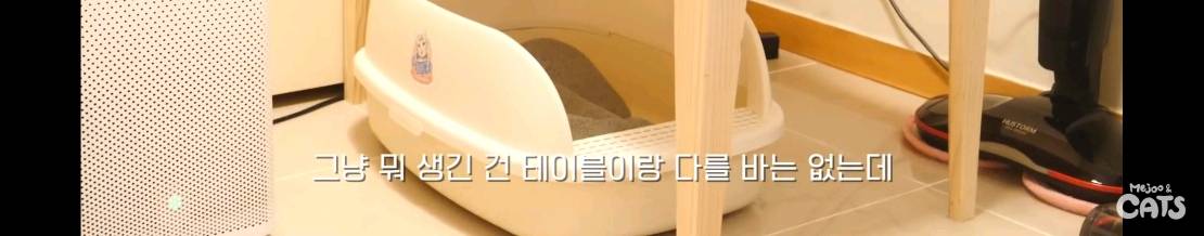 고양이와 함께 쓰는 가구 프로젝트에 들어간 일룸 | 인스티즈