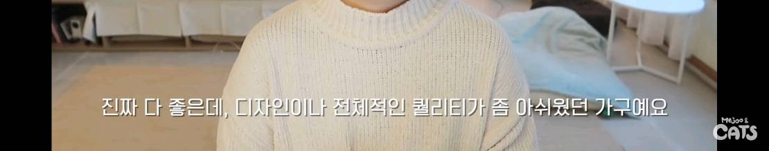 고양이와 함께 쓰는 가구 프로젝트에 들어간 일룸 | 인스티즈