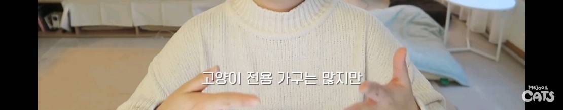 고양이와 함께 쓰는 가구 프로젝트에 들어간 일룸 | 인스티즈