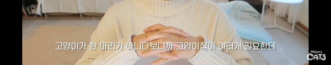 고양이와 함께 쓰는 가구 프로젝트에 들어간 일룸 | 인스티즈