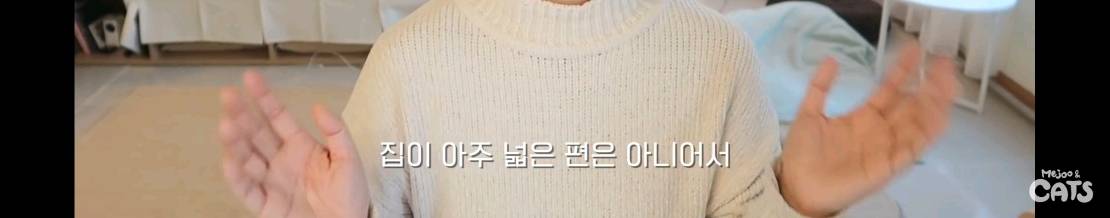 고양이와 함께 쓰는 가구 프로젝트에 들어간 일룸 | 인스티즈