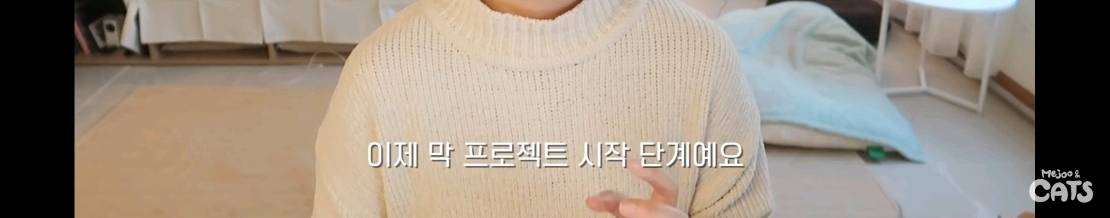 고양이와 함께 쓰는 가구 프로젝트에 들어간 일룸 | 인스티즈