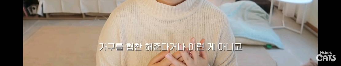 고양이와 함께 쓰는 가구 프로젝트에 들어간 일룸 | 인스티즈