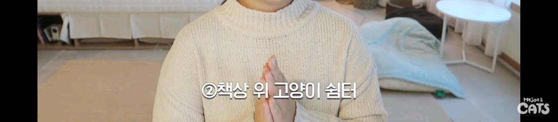 고양이와 함께 쓰는 가구 프로젝트에 들어간 일룸 | 인스티즈