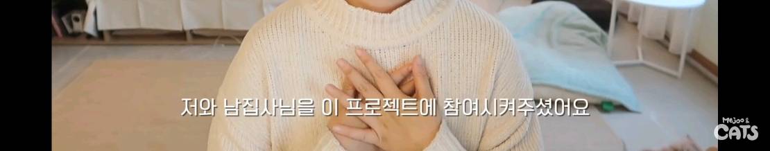 고양이와 함께 쓰는 가구 프로젝트에 들어간 일룸 | 인스티즈