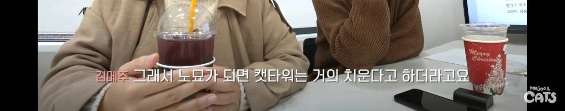 고양이와 함께 쓰는 가구 프로젝트에 들어간 일룸 | 인스티즈