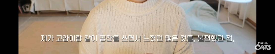 고양이와 함께 쓰는 가구 프로젝트에 들어간 일룸 | 인스티즈