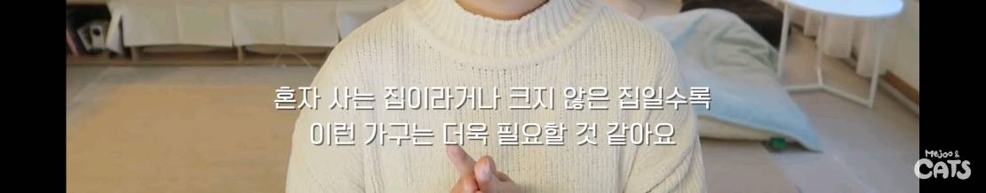 고양이와 함께 쓰는 가구 프로젝트에 들어간 일룸 | 인스티즈