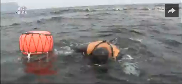 SNS용 사진한장 찍으려 했을뿐인데 인터넷에서 점점 유명해져감 | 인스티즈