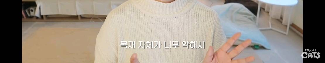 고양이와 함께 쓰는 가구 프로젝트에 들어간 일룸 | 인스티즈