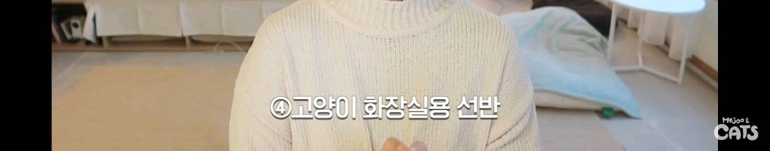 고양이와 함께 쓰는 가구 프로젝트에 들어간 일룸 | 인스티즈