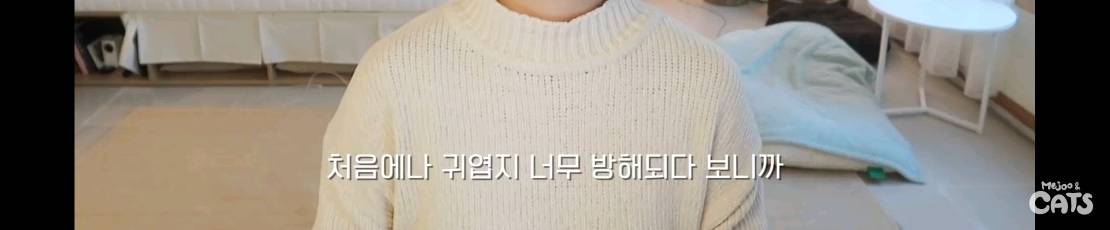 고양이와 함께 쓰는 가구 프로젝트에 들어간 일룸 | 인스티즈