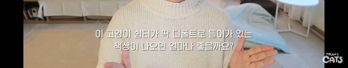 고양이와 함께 쓰는 가구 프로젝트에 들어간 일룸 | 인스티즈