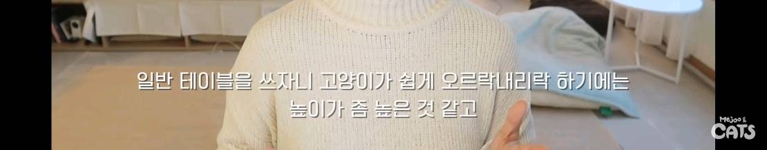 고양이와 함께 쓰는 가구 프로젝트에 들어간 일룸 | 인스티즈