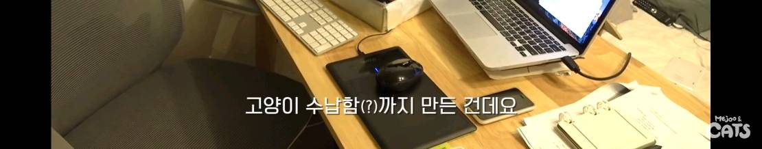 고양이와 함께 쓰는 가구 프로젝트에 들어간 일룸 | 인스티즈