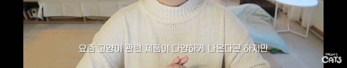 고양이와 함께 쓰는 가구 프로젝트에 들어간 일룸 | 인스티즈