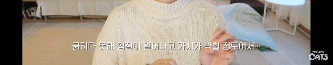 고양이와 함께 쓰는 가구 프로젝트에 들어간 일룸 | 인스티즈