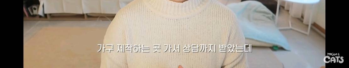 고양이와 함께 쓰는 가구 프로젝트에 들어간 일룸 | 인스티즈