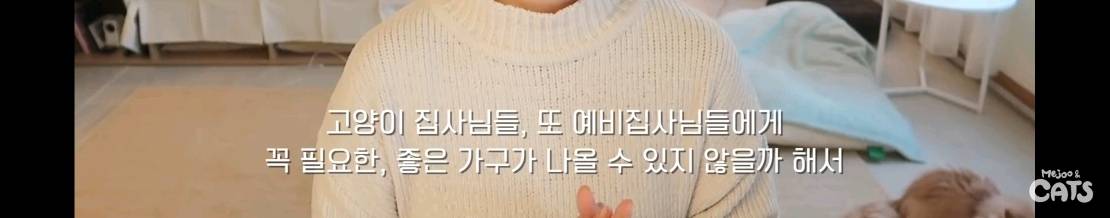 고양이와 함께 쓰는 가구 프로젝트에 들어간 일룸 | 인스티즈