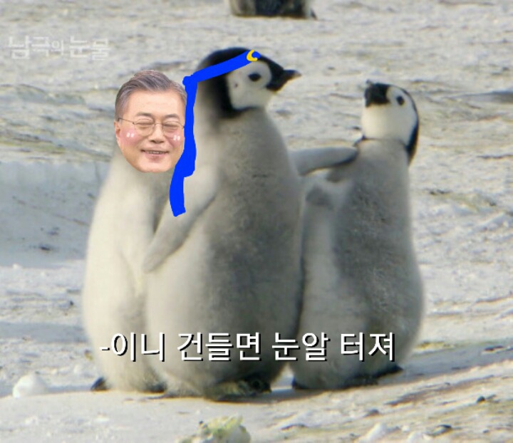 정치인이면 문재인 지지자들이 부러울거다 | 인스티즈