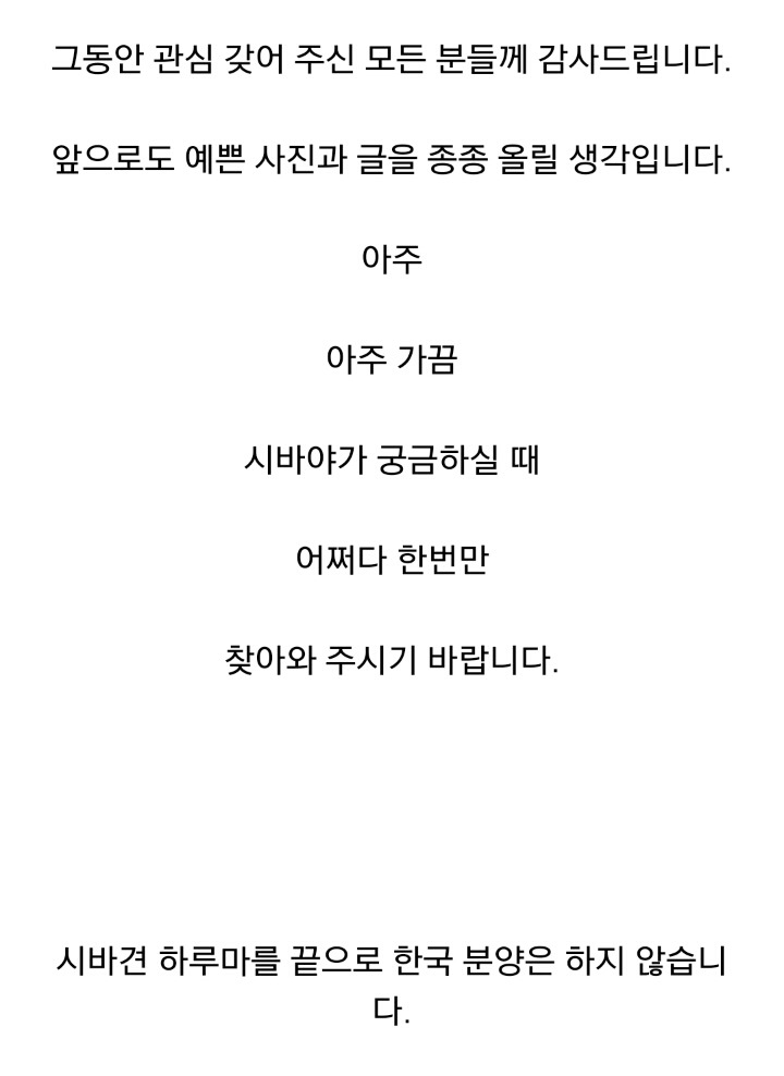 더 이상 한국인에겐 시바견 분양 안하겠다는 일본인 | 인스티즈