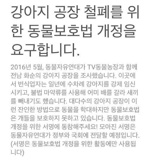 [TV동물농장] 강아지 공장 | 인스티즈