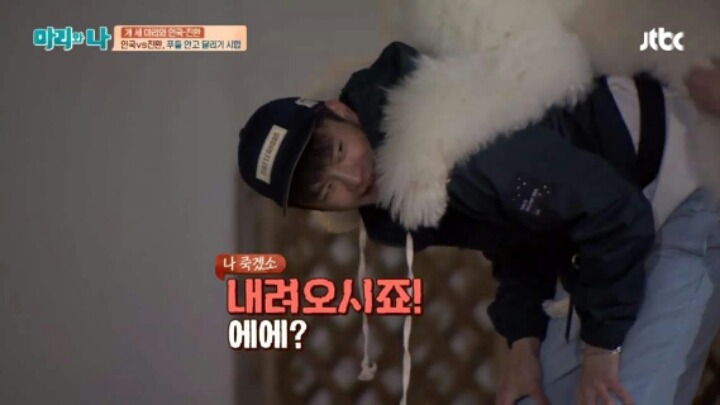 [마리와나] 푸들 안고 달리기 시합하기 | 인스티즈