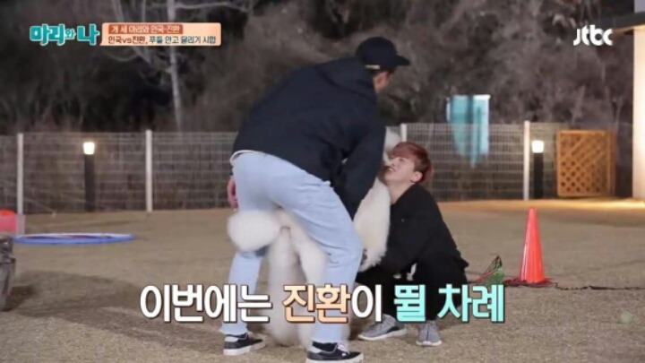 [마리와나] 푸들 안고 달리기 시합하기 | 인스티즈