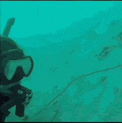 무수한 악수의 요청이.gif | 인스티즈